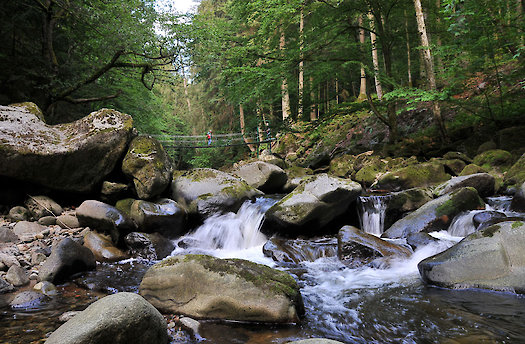 Wanderwege im Bayerischen Wald